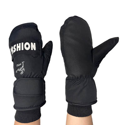 Windproof Winter Gloves