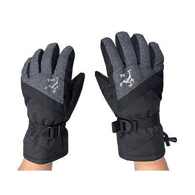 Snowboard Gloves